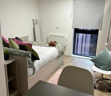 Birmingham City Centre Apartment | For Students Only 115 Bagot Street in Birmingham