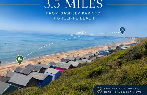 New Forest District Resort | Forest Haven