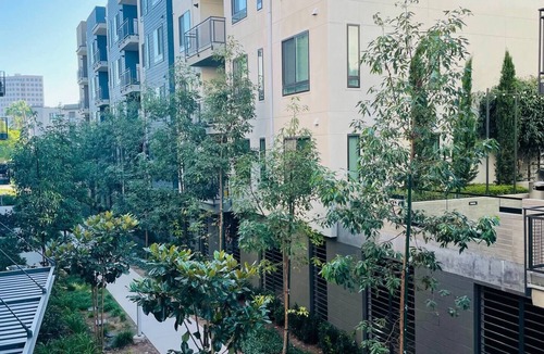 Airport Area Condo | Fully Furnished Luxury Condo in the Best Location!