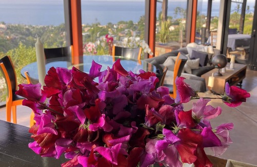 Laguna Beach House | Furnished Ocean/Canyon view Architect's sustainable home-w/elevator