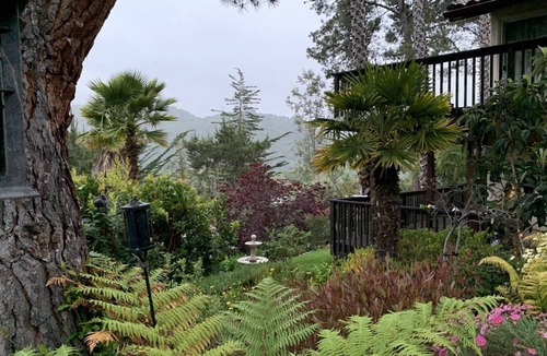 Carmel House | Gardens, water features, nearby wineries close to DT Carmel and Carmel Beach