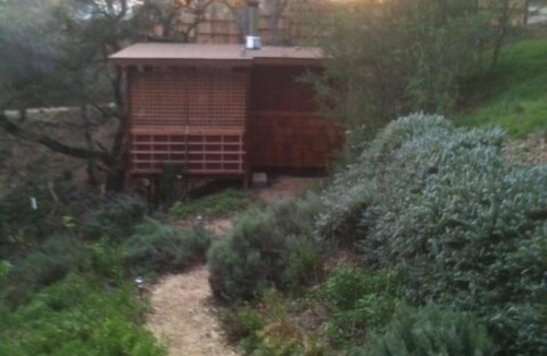 Carmel Cabin | Gem of a cabin with craftsman touches in a very lovely setting with internet