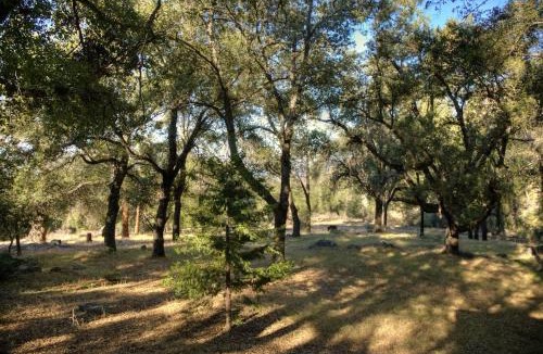 Pauma Valley Other | Glamping Bell Tent Escape on Palomar Mountain