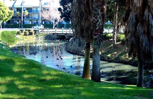 Port Hueneme Condo | Gorgeous Decorator Beach Condo - one facility entrance on the Beach
