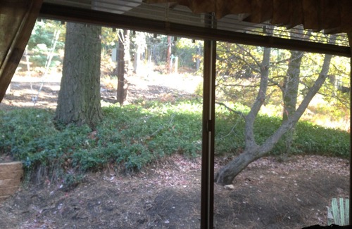 Arrowhead Villas Cabin | Great Parking, Easy Drive. Free and Fast Wi-Fi