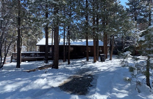 Little Tokyo Cabin | Grizzly's Getaway