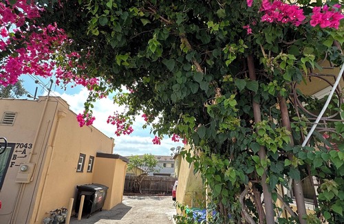 East San Gabriel House | Happy home