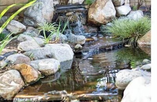 Bonita House | Hidden Paradise｜ BBQ & Fish Pond