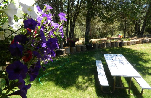 Midpines House | Hidden Treasure on the way to Yosemite Valley full of Native American History