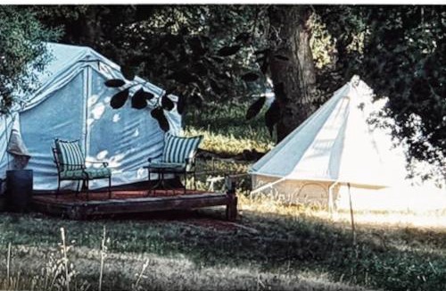 Pauma Valley Other | Historic Rustic Cabin with Spectacular Views