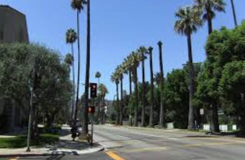 Hollywood Dell Apartment | Hollywood Hills Retreat B