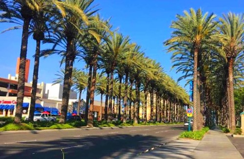 Anaheim Resort Hostel | Hostel ∙ 8 guests
