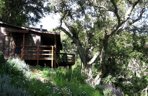 Carmel House | House ∙ 1 bedroom ∙ 2 guests