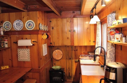 Idyllwild Cabin | Idyllcottage: Located in Historic District with Spa, Fireplace, AC, Fenced-Patio, and Pet-Friendly!