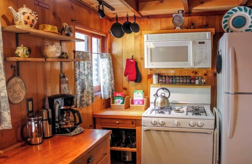 Idyllwild Cabin | Idyllcottage: Located in Historic District with Spa, Fireplace, AC, Fenced-Patio, and Pet-Friendly!