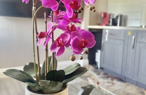 Hermosa Village Apartment | It is like small guest house with one bedroom one bath, and kitchen