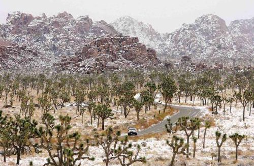 Joshua Tree Highlands House | Joshua Tree’s Highland Hideaway Compound