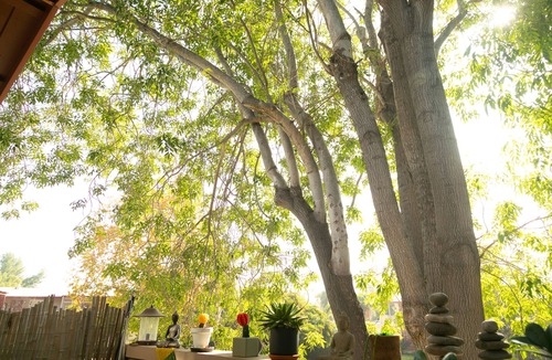 Thousand Oaks Apartment | 🌿 King Bed, Pool, Parking, Ideal for Long Stays