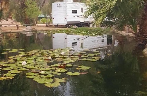Newberry Springs House | Koi Pond Trailer