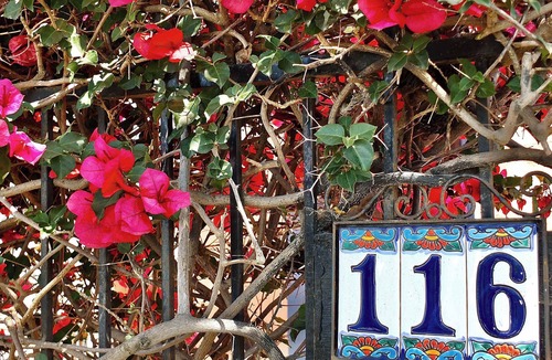 Belmont Shore House | La Brisa | 1 Block from the Beach!