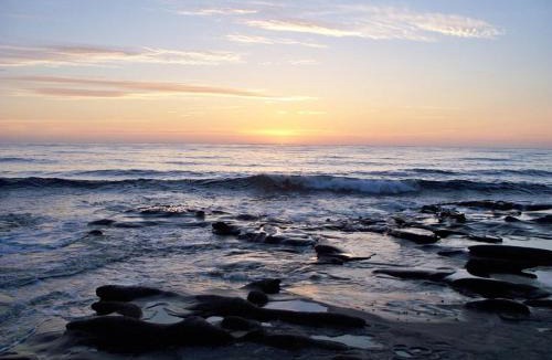 Laguna Beach Resort | Laguna Shores Studio Suites