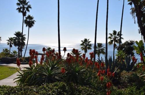Laguna Beach Resort | Laguna Shores Studio Suites