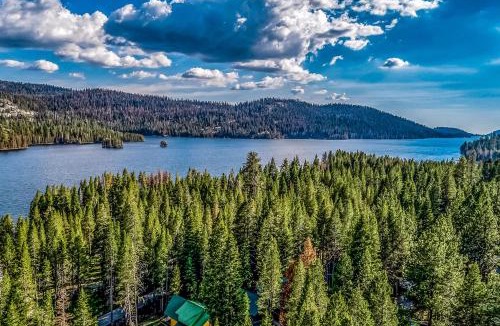 Lakeshore Apartment | Lake Therapy