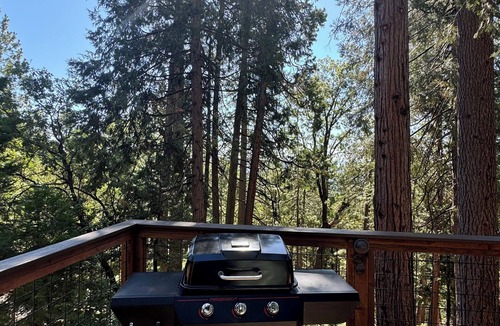 Altaville Cabin | LakeMont Pines Cozy 3-bedroom cabin in Arnold with AC, WiFi, Pool Table and More