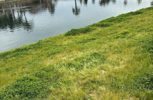 Chowchilla House | Lakeside Oasis Private 1 Bedroom 1 Bath near Yosemite