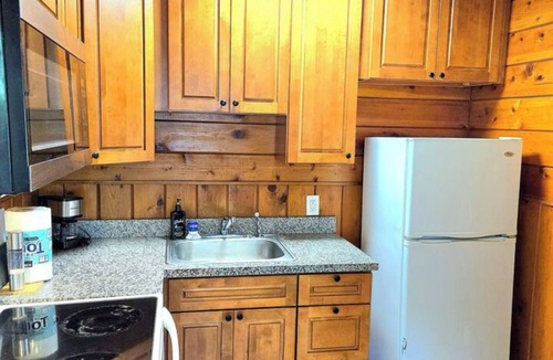 Chicago Park Cabin | Lakeview Country Cabin ~ Studio King Bed w/Futon