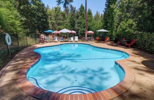 Chicago Park Cabin | Lakeview Country Cabin ~ Studio King Bed w/Futon