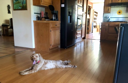 Sylvia Park House | Large Comfy Topanga Canyon Family Getaway near State Park and Pacific Ocean