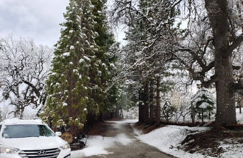 Tehachapi Cabin | Log Cabin at Kern County Mountain Park area covered with big oak and pine trees