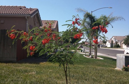 Los Banos House | *Los Banos* Relax and "Have A Great Stay Here For Your Journey"
