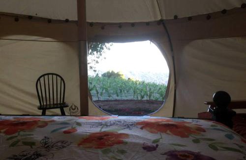 Los Gatos Other | Lotus Yurt in Vineyard Overlooking Monterey Bay near Los Gatos, California