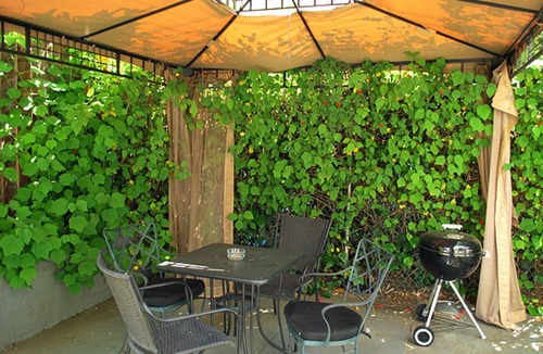 Hollywood Apartment | Lovely Hollywood Retreat with Porch & Garden