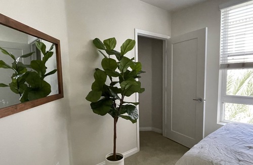 Laguna Niguel Apartment | Lovely private bedroom with shared bath(female only please)