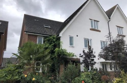 West Molesey House | Lovely Room with Garden View & Free Street Parking nr Hampton Court