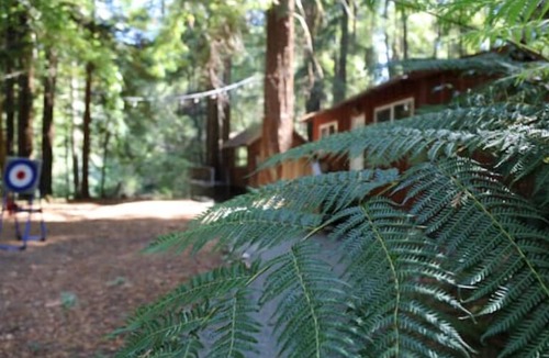 Garberville Cabin | "Madrone" Cabin In the Redwoods, River Access, WiFi nn