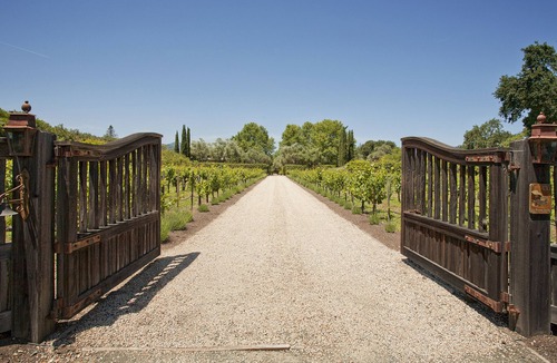 St. Helena Villa | Mediterranean Villa with Pool and Vineyard in St. Helena