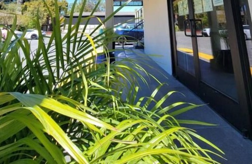 Newhall House | Minutes to Pruneridge Golf Club! 3 Units, Comes with FREE Parking!