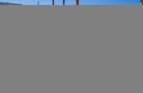 Desert Park Estates House | Monkey Tree Hotel 14