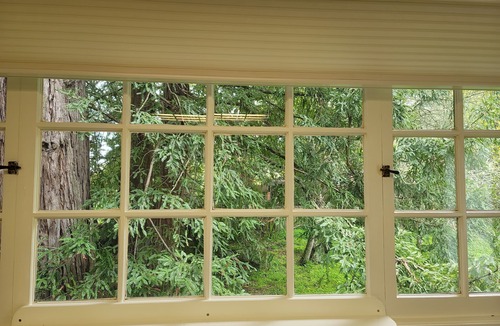 Monterey House | Monthly Rental - Great for extended staysnClose to Downtown & Attractionsn