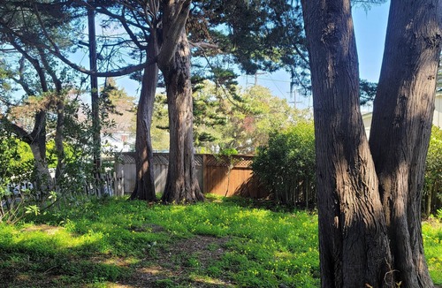 Monterey House | Monthly Rental - Great for extended staysnClose to Downtown & Attractionsn
