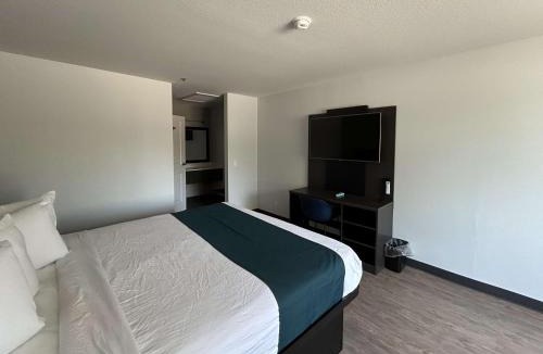 Lake Elsinore Hotel | Motel 6 Lake Elsinore, CA
