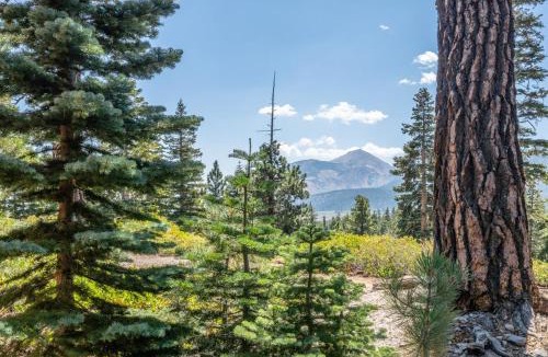 Mammoth Lakes House | Mountainback 15
