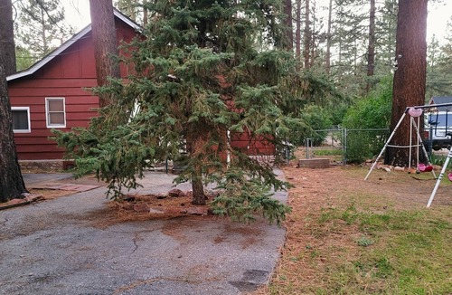 Peter Pan Cabin | Myrtle Chalet
