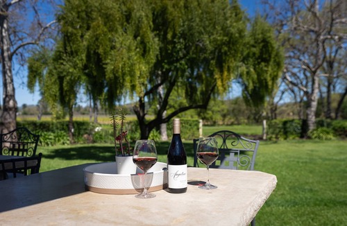 Santa Rosa House | New! Wine Country Family Oasis: Serene Vineyard Views, 3 units
