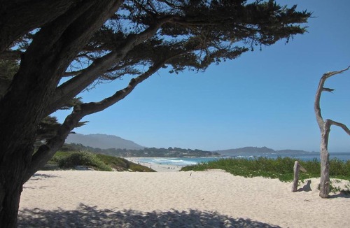 Golden Rectangle Cottage | Newly remodeled Ocean Hideaway in Downtown Carmel