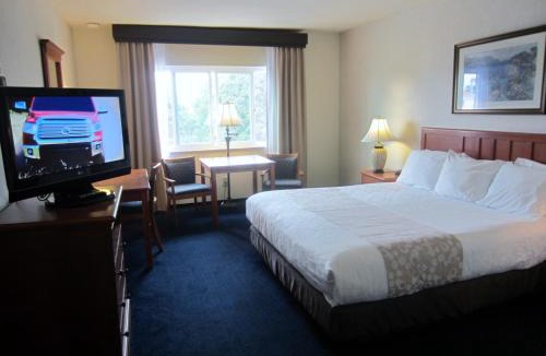 Newport Shores Hotel | Newport Channel Inn